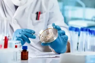 Quality testing in a pharmaceutical laboratory