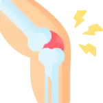 Orthopedic Products Manufacturer