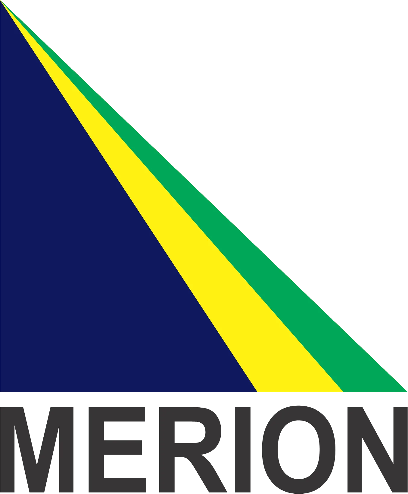 Merion Care Pvt Ltd logo