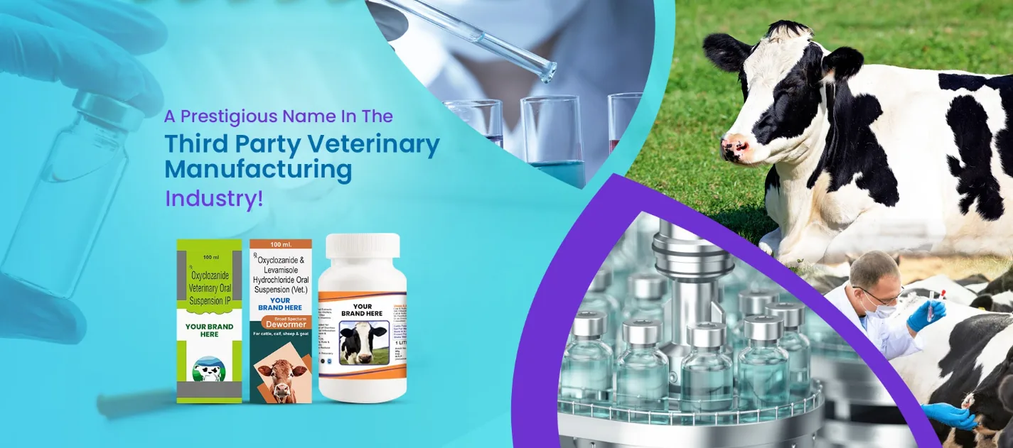 Pharma PCD Company