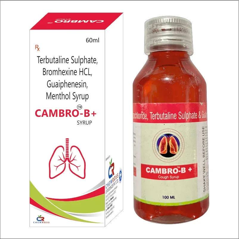 CAMBRO-B PLUS
