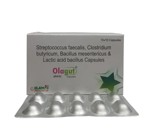 OLAGUT - Pre & Pro Biotics with Zinc Power of Fructo Oligo Saccharide