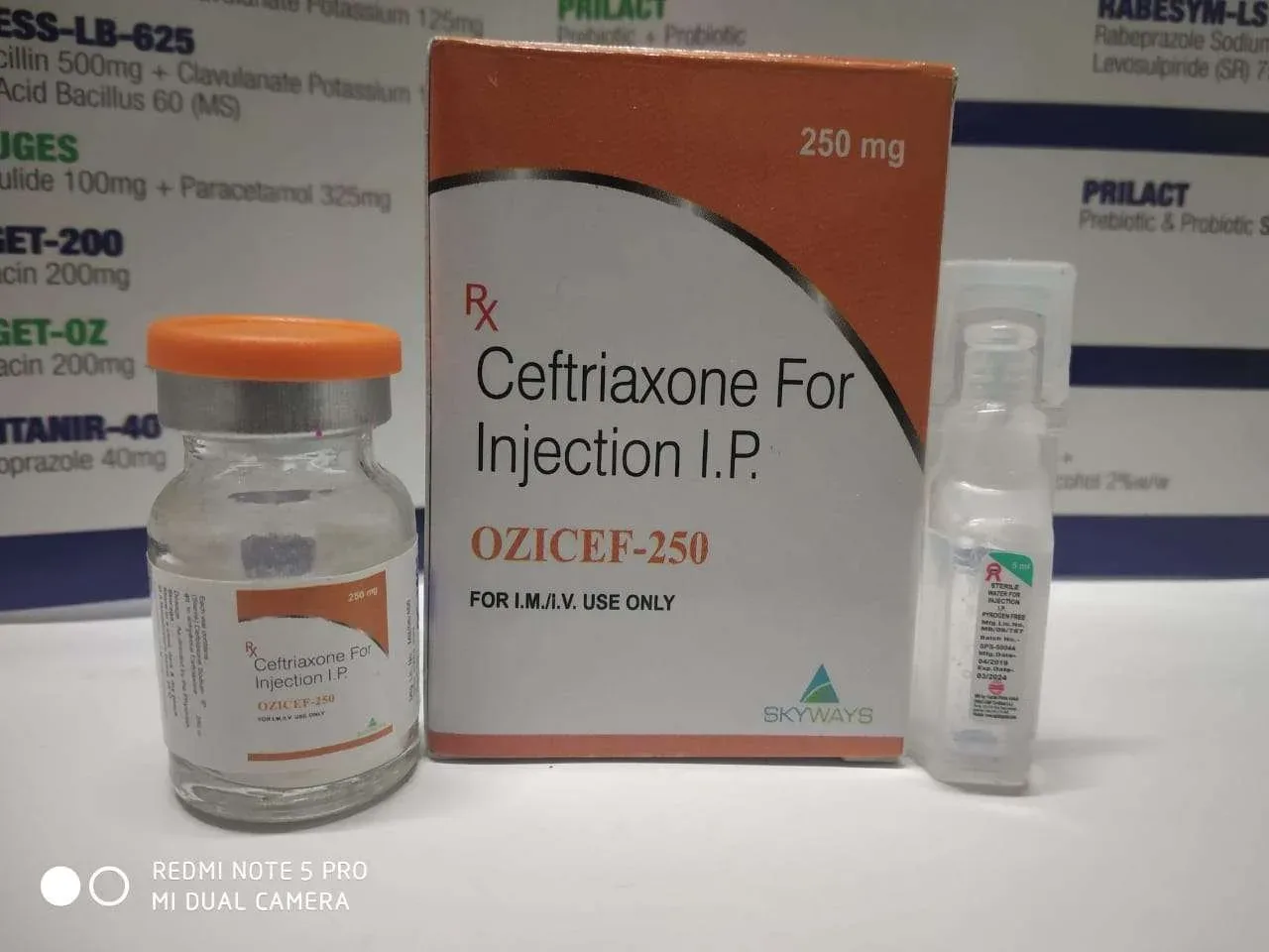 Ozicef-250 - Ceftriaxone 250mg